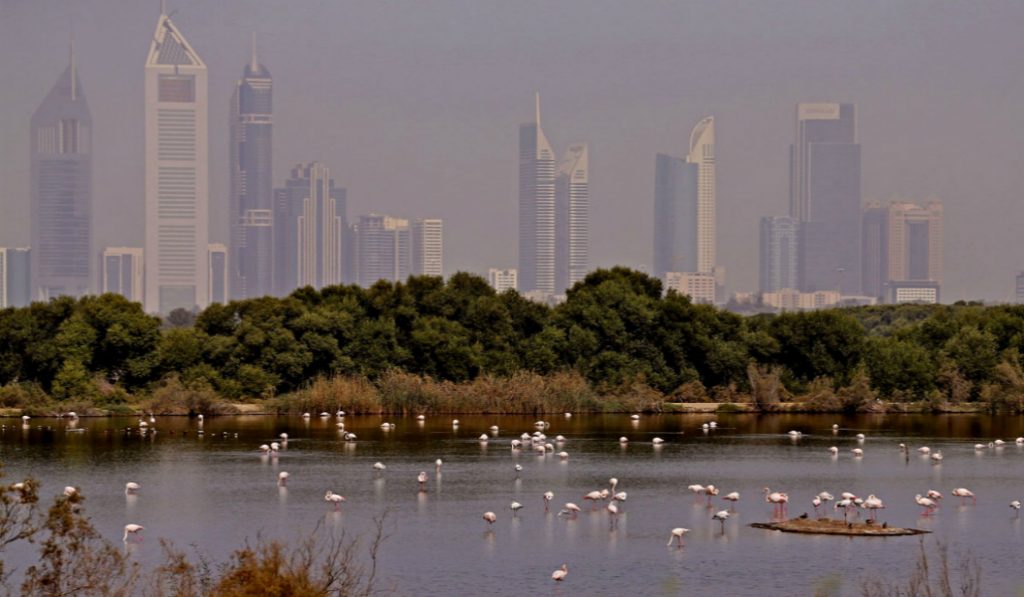 Discover Dubai’s Hidden Gems