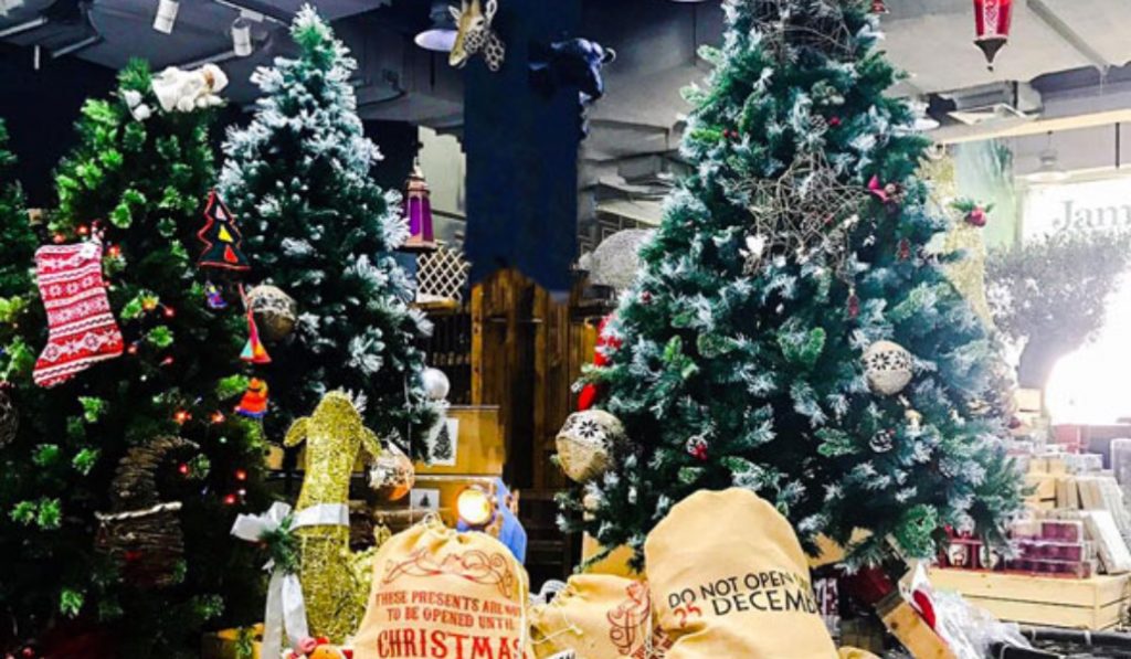 Spinneys have got you covered with finding the perfect Christmas tree