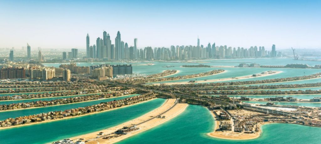 The Ultimate Guide to Discovering the Palm