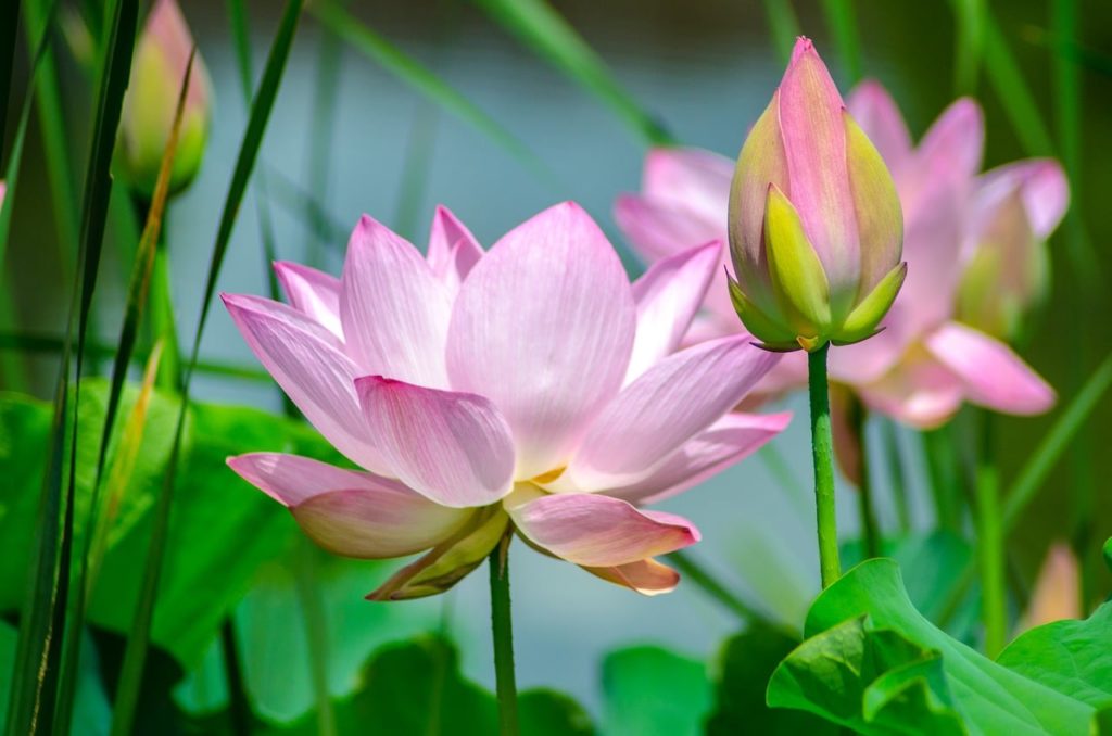 Test with Twitter embeds