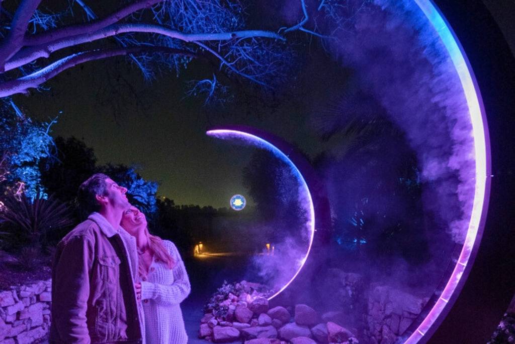 A couple gazes at lights as they hold each other